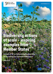 EU CAP Network - Publikation